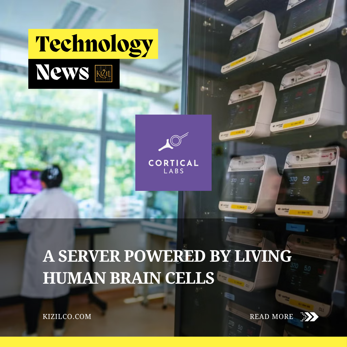 Singapore Launches a Biological Data Center Powered by Living Human Neurons
