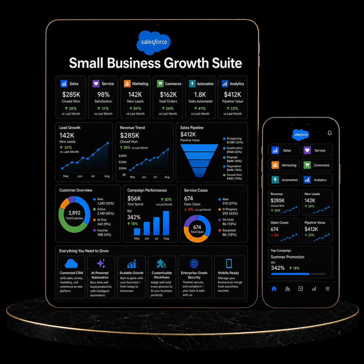 Salesforce Small Business Growth Suite dashboard showcasing analytics, sales data, and marketing performance metrics.